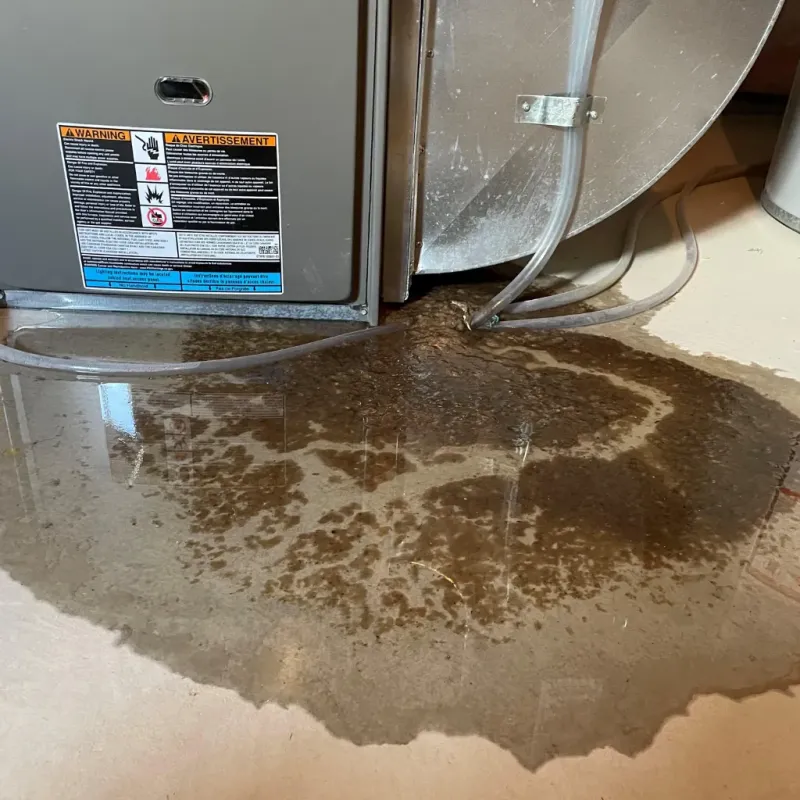 Appliance Leak Cleanup in Gilford, NH